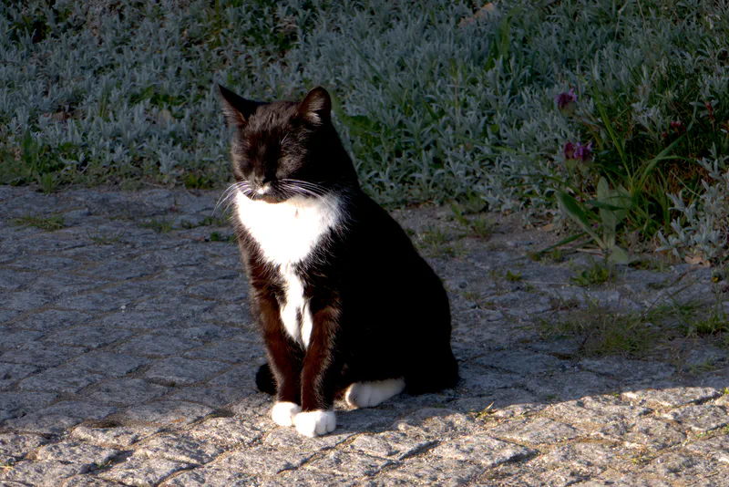 07.jpg